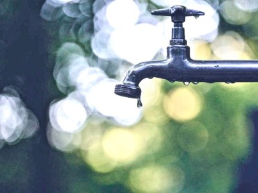 luis-tosta-266667-1513117250-8759 2