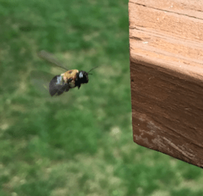 Screen Shot 2019-04-30 at 1.46.04 PM